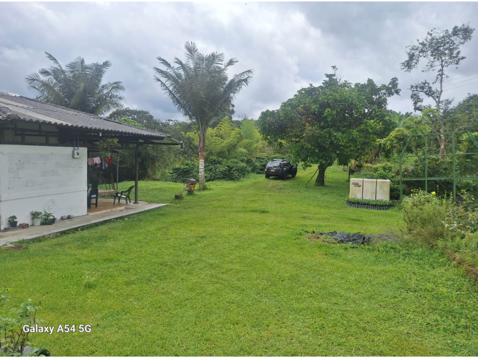 Venta Finca Circasia Quindio - Colombia COD: 8437375 — foto 2