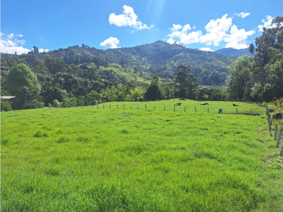 Venta Lote Salento Quindío - Colombia COD: 564264 - 4
