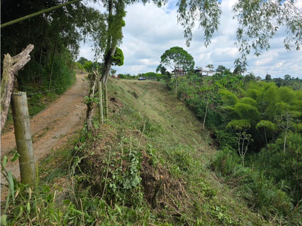 Venta Lote Occidente Armenia Quindio - Colombia COD: 7376117 — foto 6