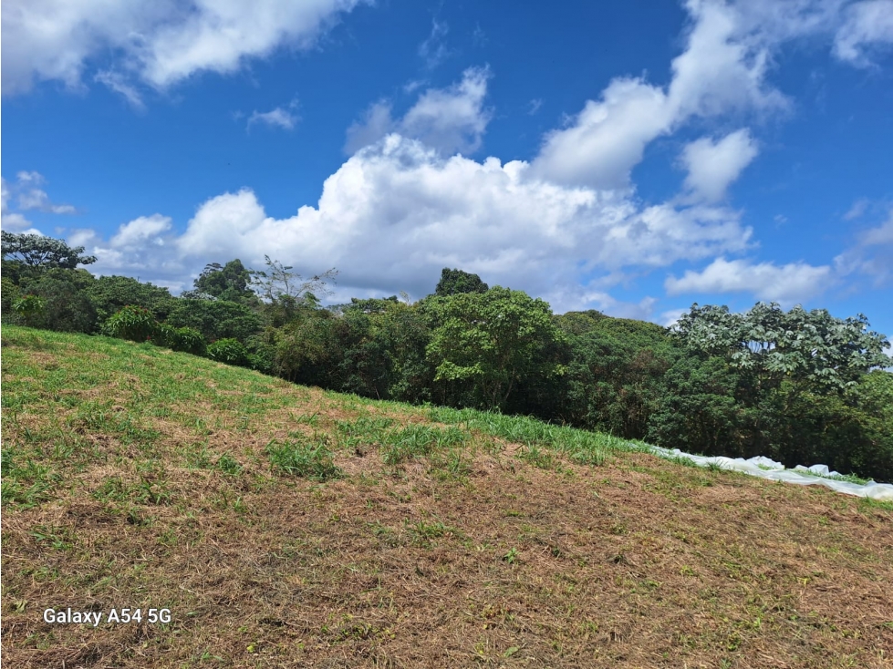 Venta Lote Filandia Quindio - Colombia COD: 7533038 - 5
