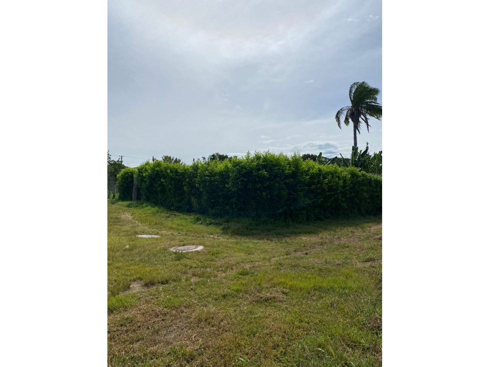 Venta Lotes en urbanización, Guamo -Tolima. Colombia COD: 1377656 - 3