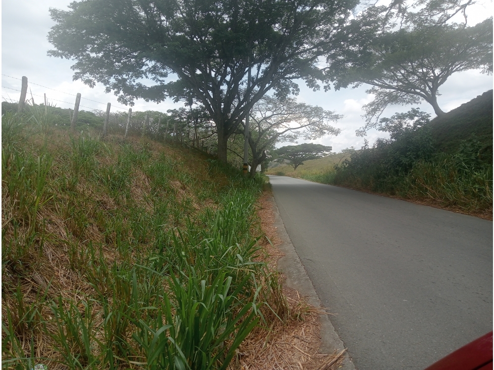 Venta Finca Sevilla vía La Paila, Valle del Cauca COD: 8201383