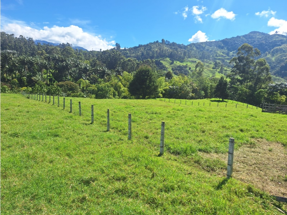 Venta Lote Salento Quindío - Colombia COD: 564264 - 5