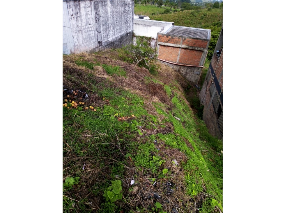 Venta Lote Norte Armenia Quindio - Colombia COD: 6359390