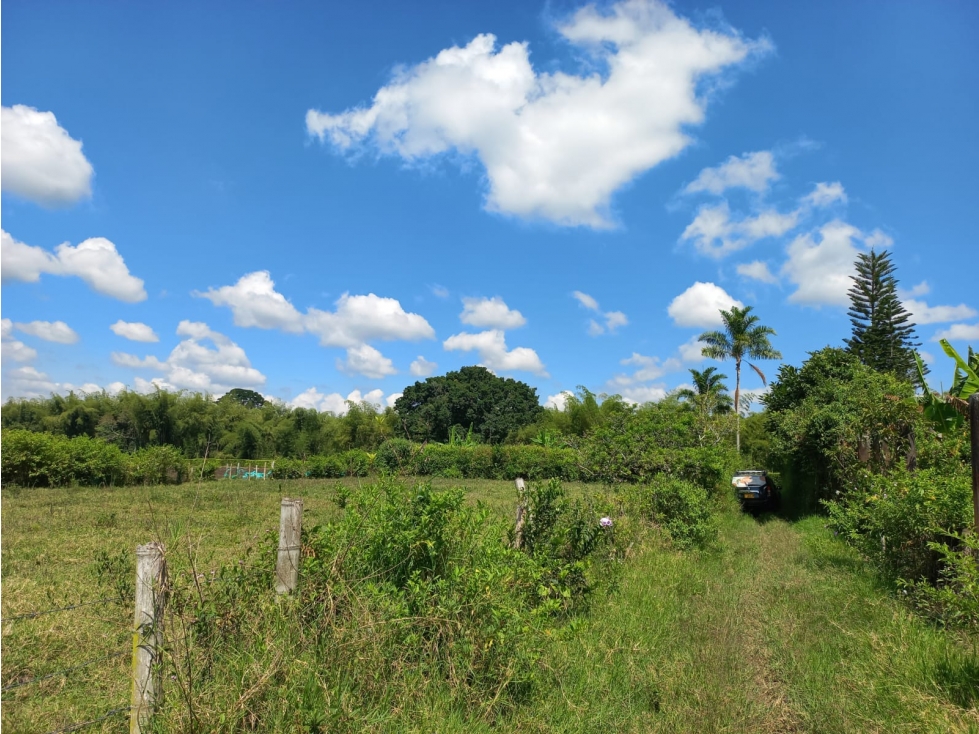 Venta Lote La Tebaida Quindio - Colombia COD: 6178230 — foto 5