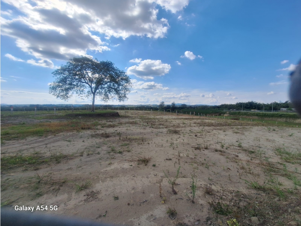 Venta Lotes Armenia Quindio Colombia COD: 8480309 — foto 3