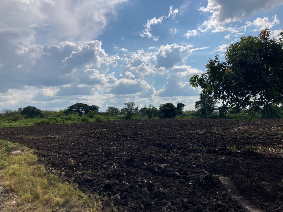 Venta Lote Tebaida Quindio - Colombia COD: 6229609 - 4