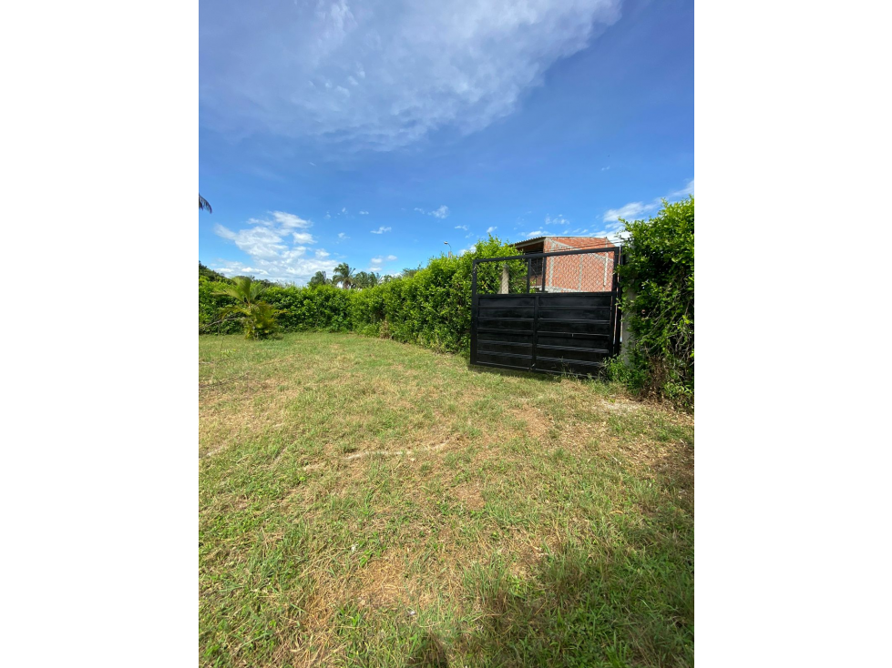 Venta Lotes en urbanización, Guamo -Tolima. Colombia COD: 1377656 - 6