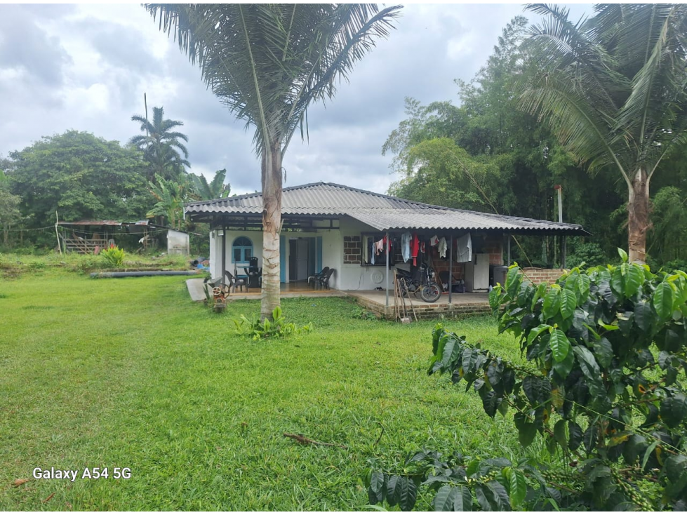 Venta Finca Circasia Quindio - Colombia COD: 8437375