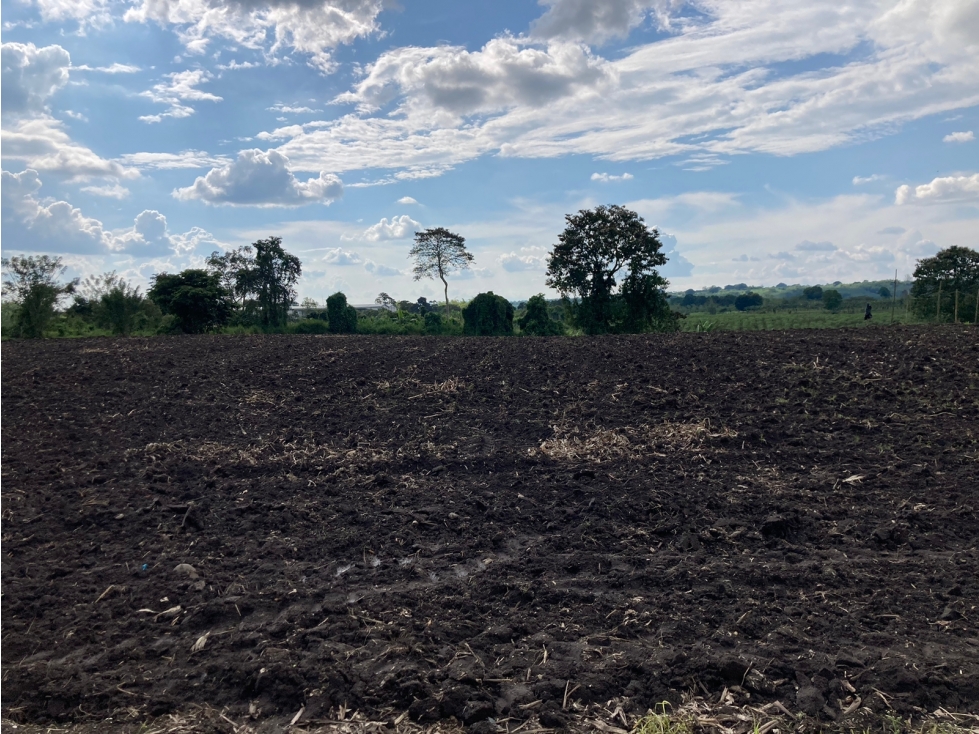 Venta Lote Tebaida Quindio - Colombia COD: 6229609 - 5