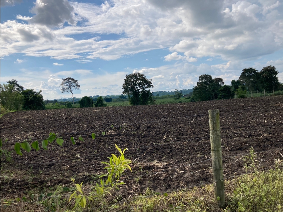 Venta Lote Tebaida Quindio - Colombia COD: 6229609 - 6