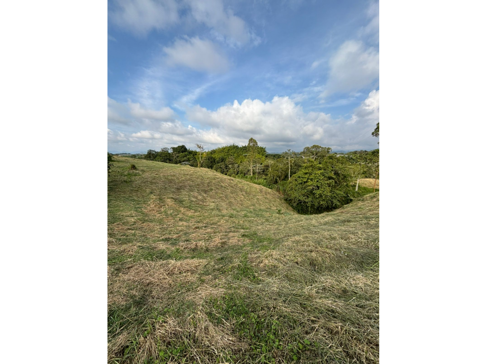 Venta Lote Filandia Quindio - Colombia COD: 8357964 - 3