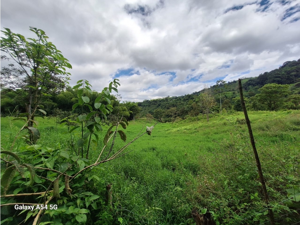 Venta Finca Salento Quindio COD: 7964950 - 5