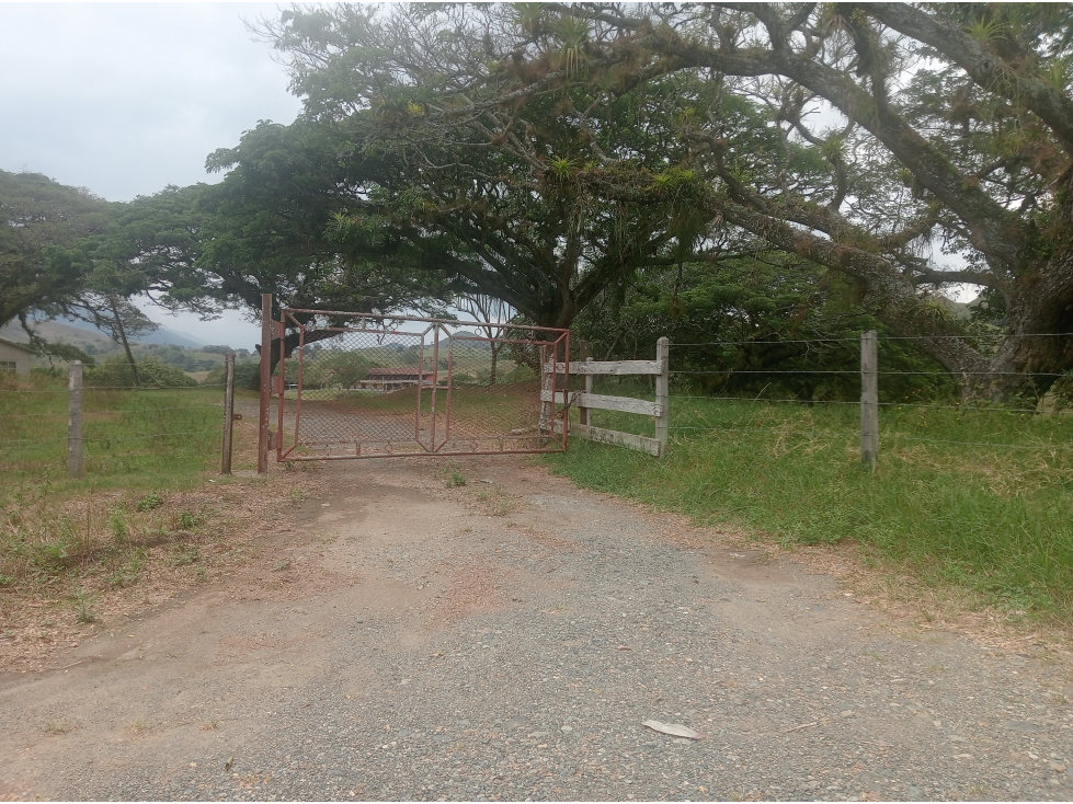 Venta Finca Sevilla vía La Paila, Valle del Cauca COD: 8201383 — foto 3