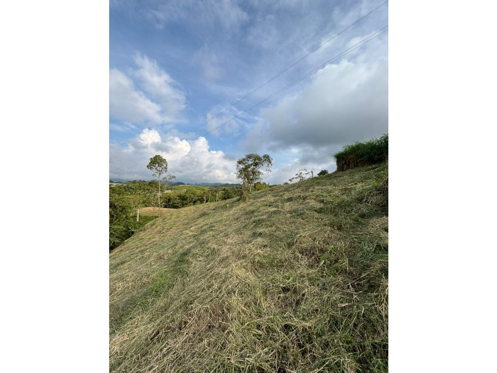 Venta Lote Filandia Quindio - Colombia COD: 8357964 - 4