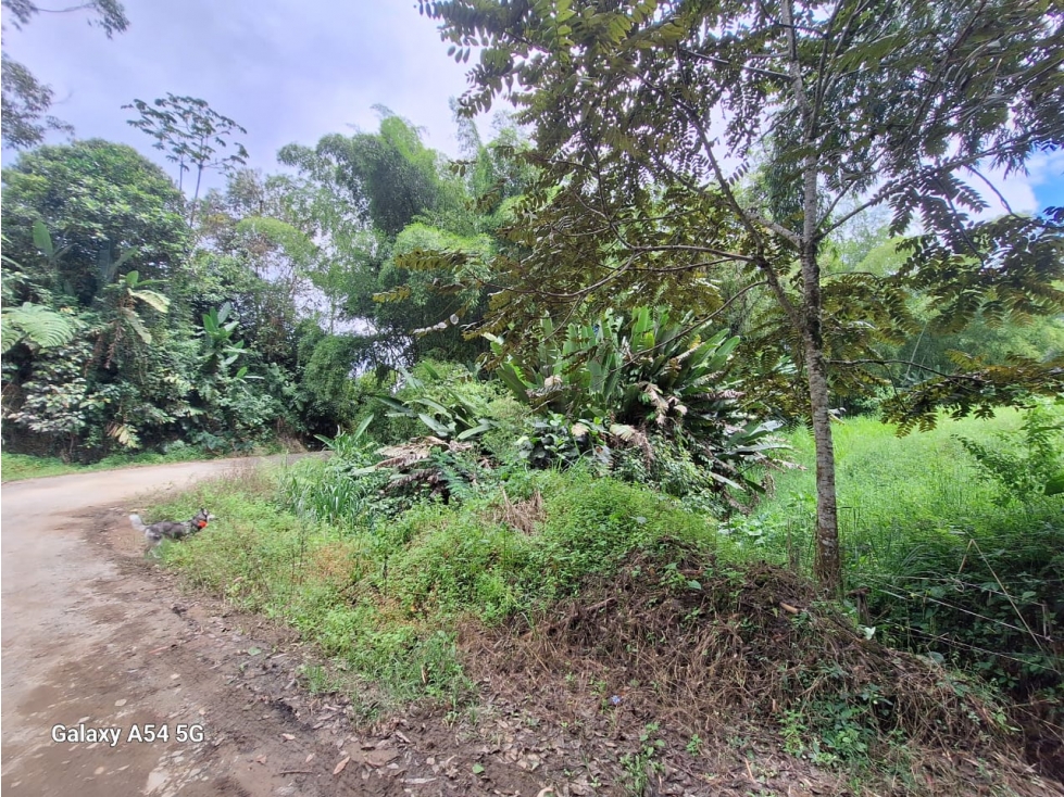 Venta Finca Salento Quindio COD: 7964950 - 4