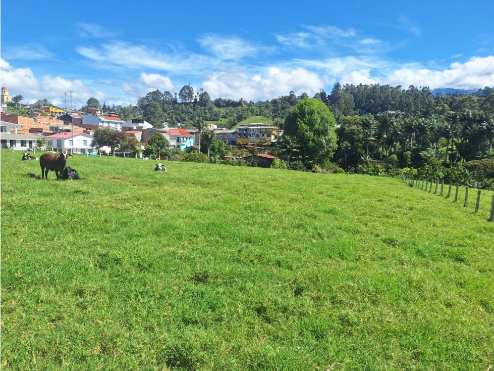 Venta Lote Salento Quindío - Colombia COD: 564264 - 1