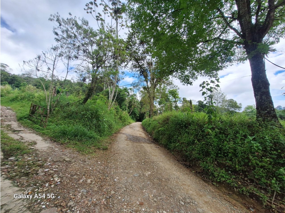 Venta Finca Salento Quindio COD: 7964950 - 6