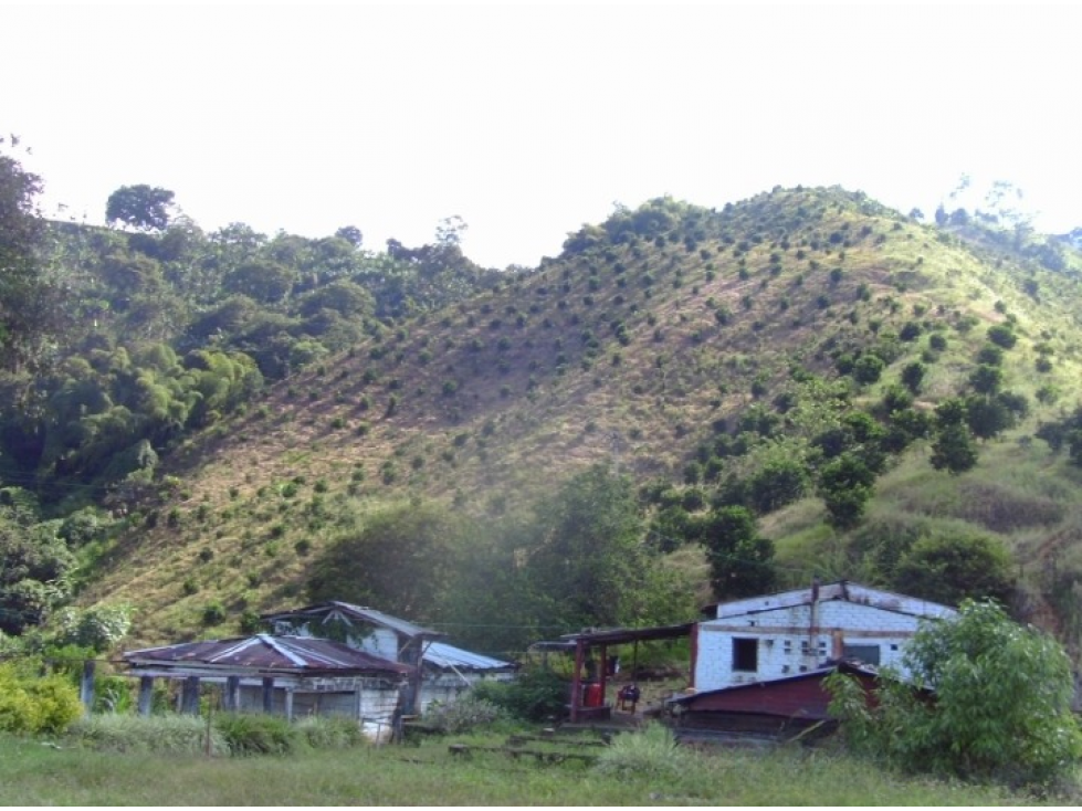 Venta Finca Buenavista Quindio - Colombia COD: 9271712 - 1