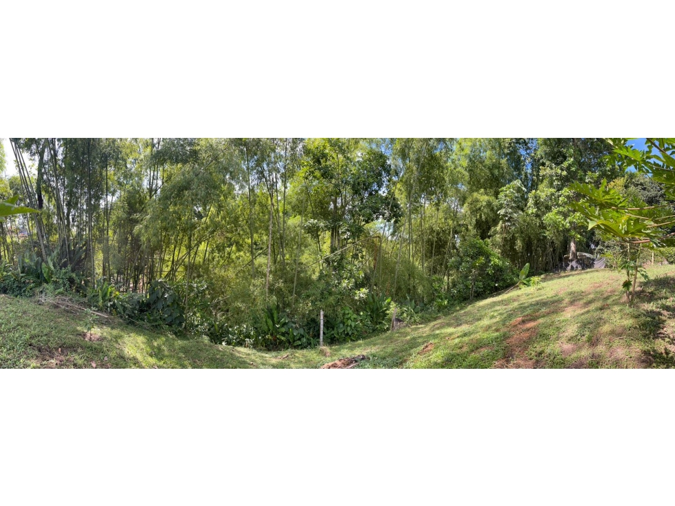 Venta Lote Sur Tebaida Quindio - Colombia COD: 6876048 - 5