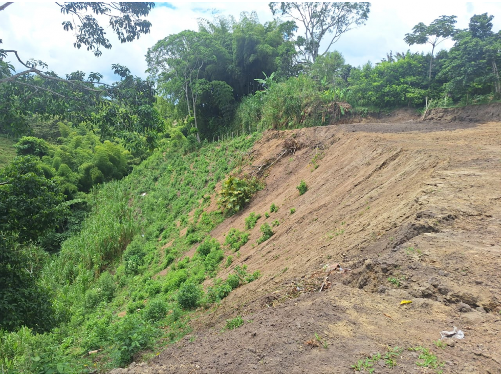 Venta Lote Occidente Armenia Quindio - Colombia COD: 7376117 — foto 5