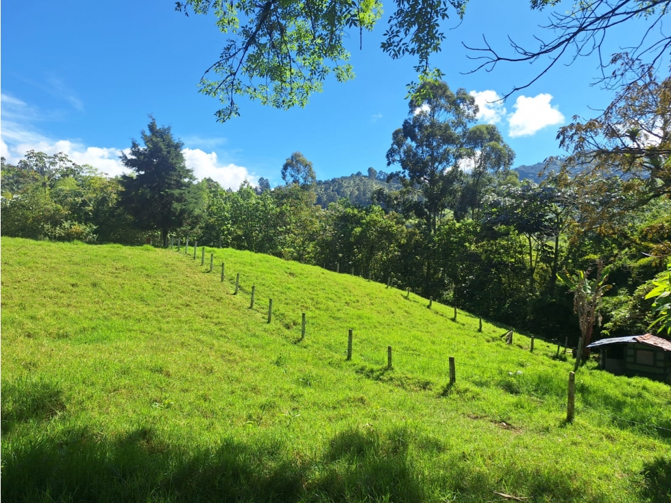 Venta Lote Salento Quindío - Colombia COD: 564264 - 6
