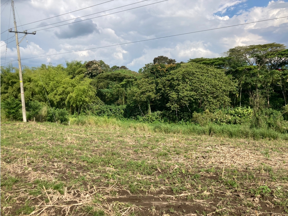 Venta Lote Tebaida Quindio - Colombia COD: 6229609 - 2