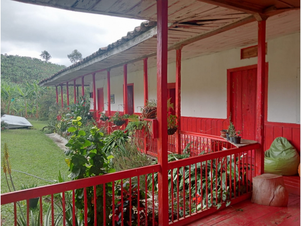 Venta Finca Norte Sevilla, Valle COD: 8201426 - 2