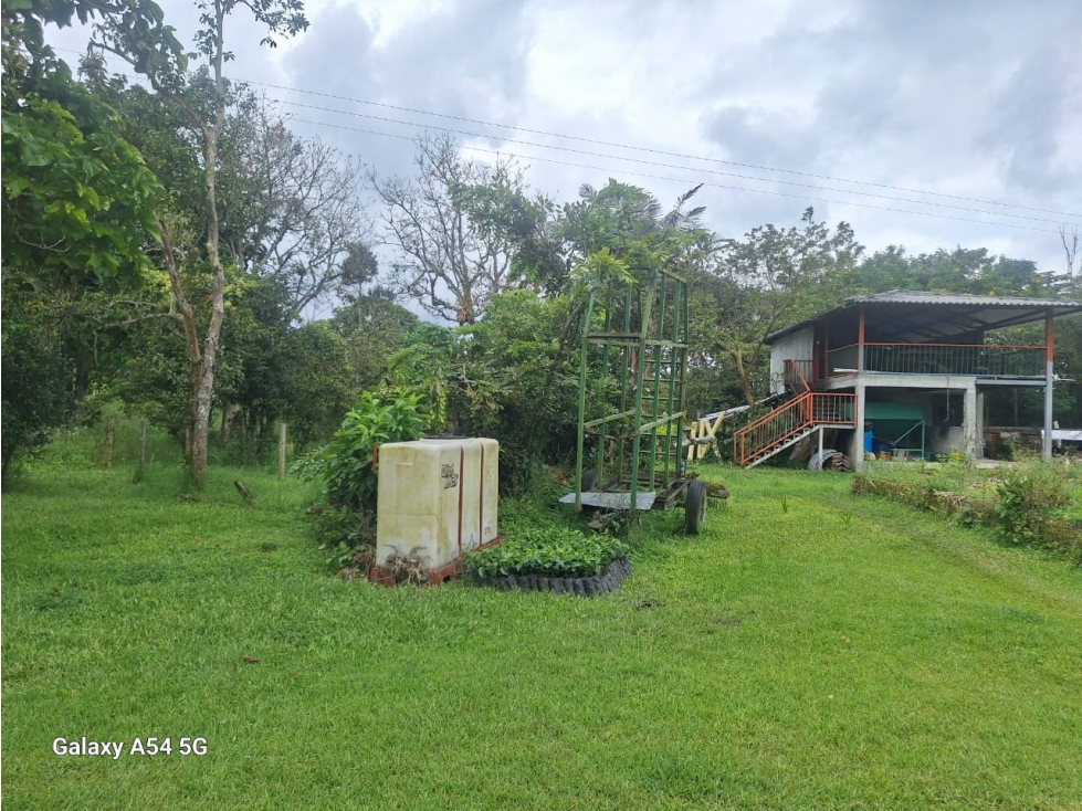 Venta Finca Circasia Quindio - Colombia COD: 8437375 — foto 4