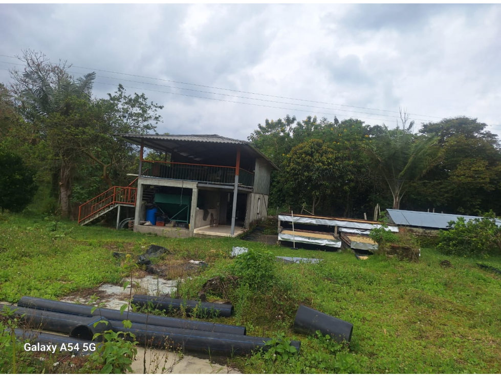 Venta Finca Circasia Quindio - Colombia COD: 8437375 — foto 5