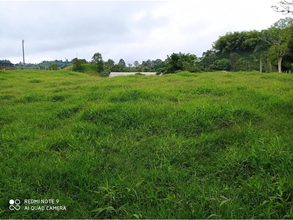 Venta Lote Filandia Quindio - Colombia COD: 3830684 - 6