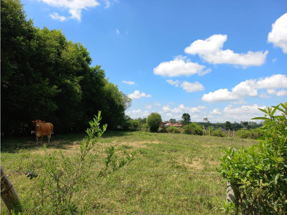 Venta Lote La Tebaida Quindio - Colombia COD: 6178230 — foto 6