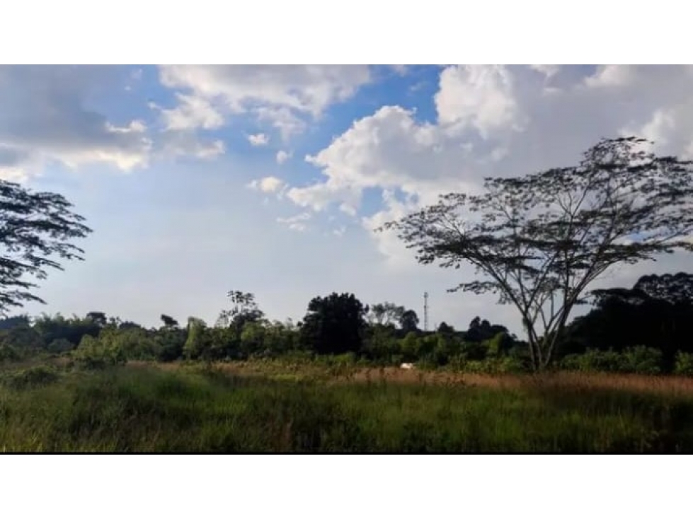 Venta Lote Norte Armenia Quindio - Colombia COD: 7532871 — foto 2