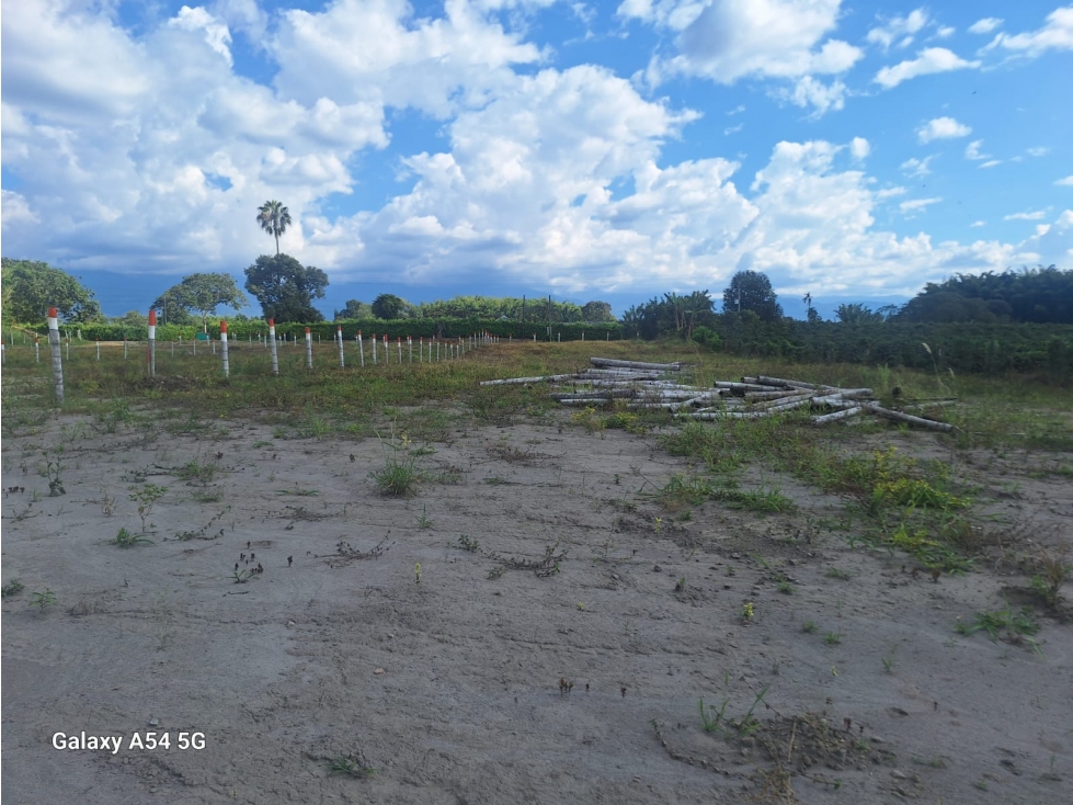 Venta Lotes Armenia Quindio Colombia COD: 8480309 — foto 4