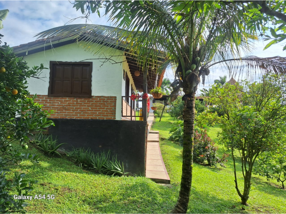 Venta Finca Hotel sector Montenegro via Quimbaya Quindio COD: 8316184 - 6