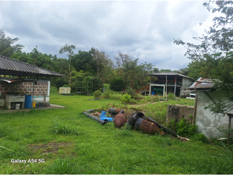 Venta Finca Circasia Quindio - Colombia COD: 8437375 — foto 3