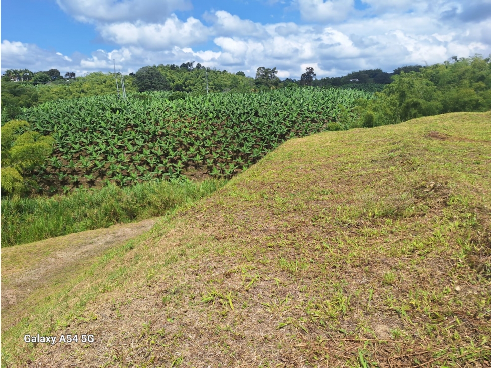 Venta Lote Occidente Armenia Quindio Colombia COD: 8441581 — foto 6
