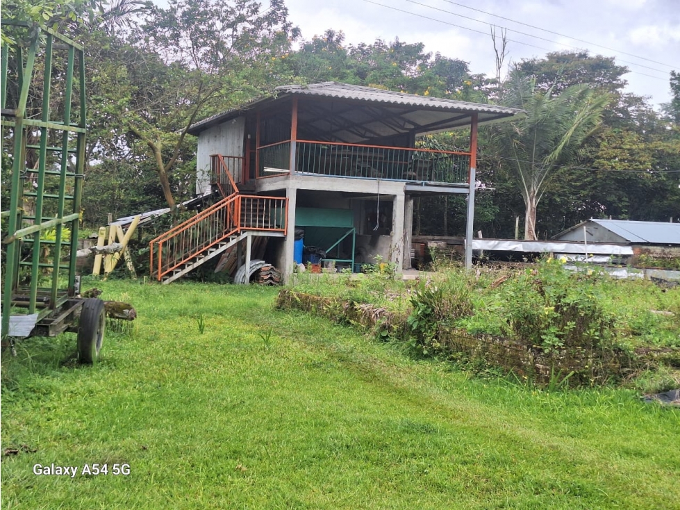 Venta Finca Circasia Quindio - Colombia COD: 8437375 — foto 6