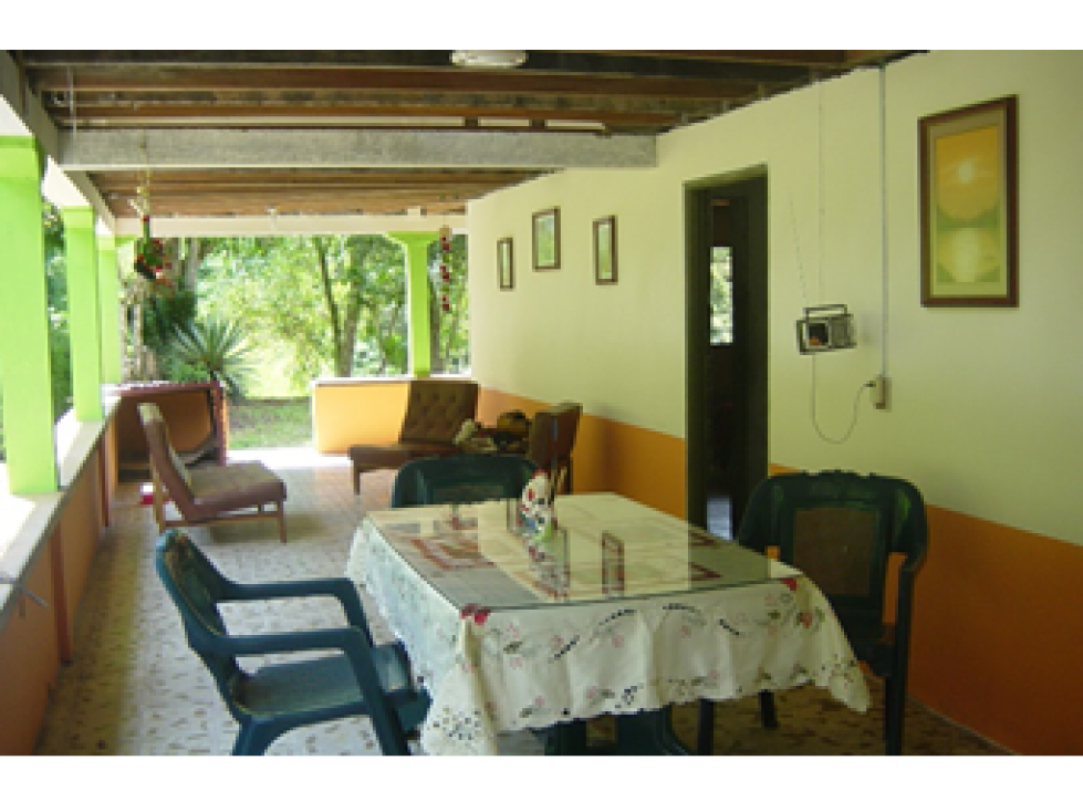Venta Finca, vía Pijao a Génova, Quindío. COD: 8342923 - 6