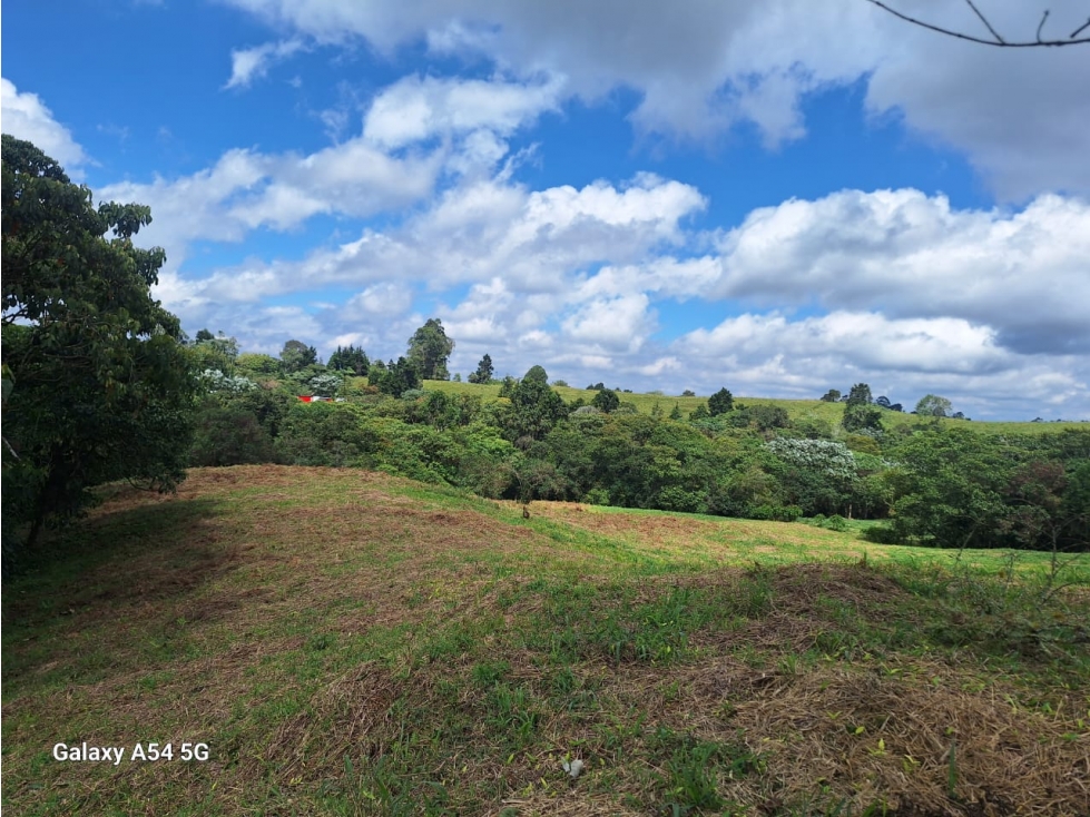 Venta Lote Filandia Quindio Colombia COD: 5236924 - 3