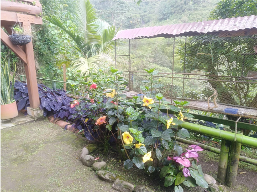 Venta Finca en la vía Córdoba a Pijao Quindío. Colombia COD: 8520185 - 6
