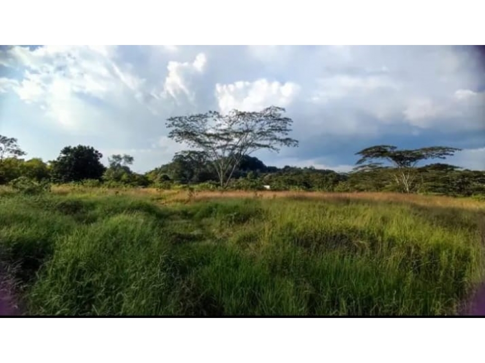 Venta Lote Norte Armenia Quindio - Colombia COD: 7532871 — foto 4