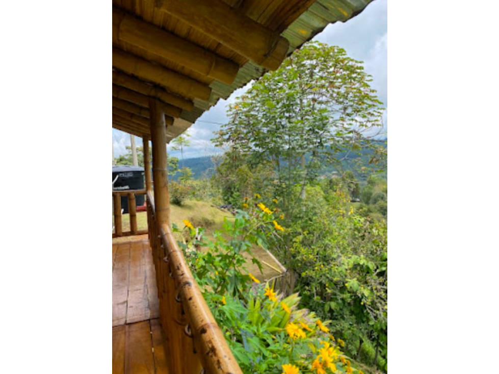 Venta Casa Campestre Salento, Quindío - Colombia COD: 6876219 - 5