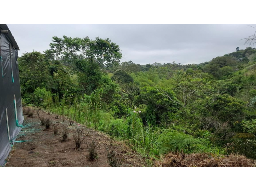 Venta Lote Armenia vía Circasia. Quindío - COL. COD: 9802901 - 5