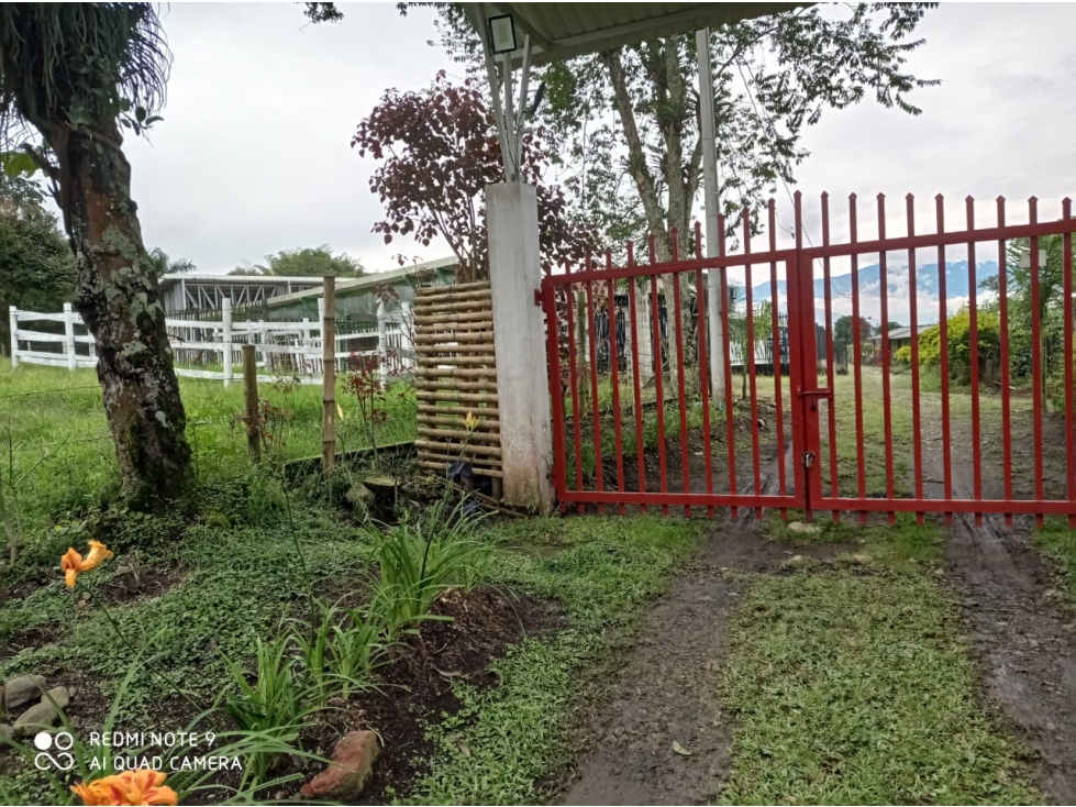 Venta Lote Filandia Quindio - Colombia COD: 3830684 - 1