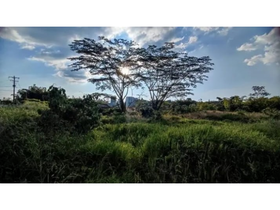 Venta Lote Norte Armenia Quindio - Colombia COD: 7532871 — foto 5