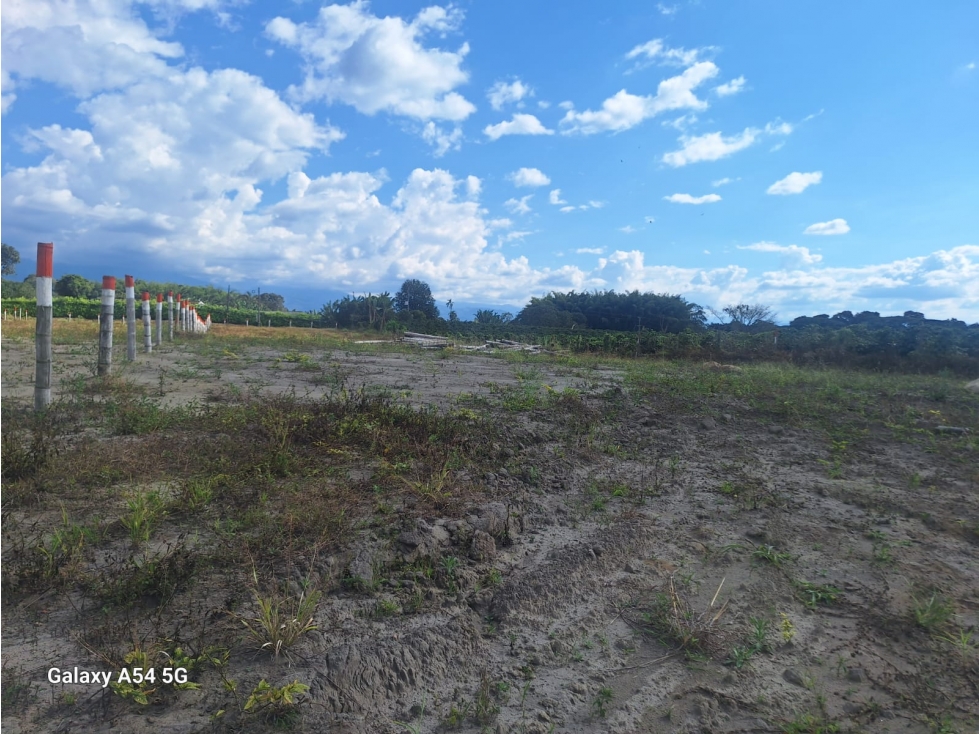 Venta Lotes Armenia Quindio Colombia COD: 8480309 — foto 6