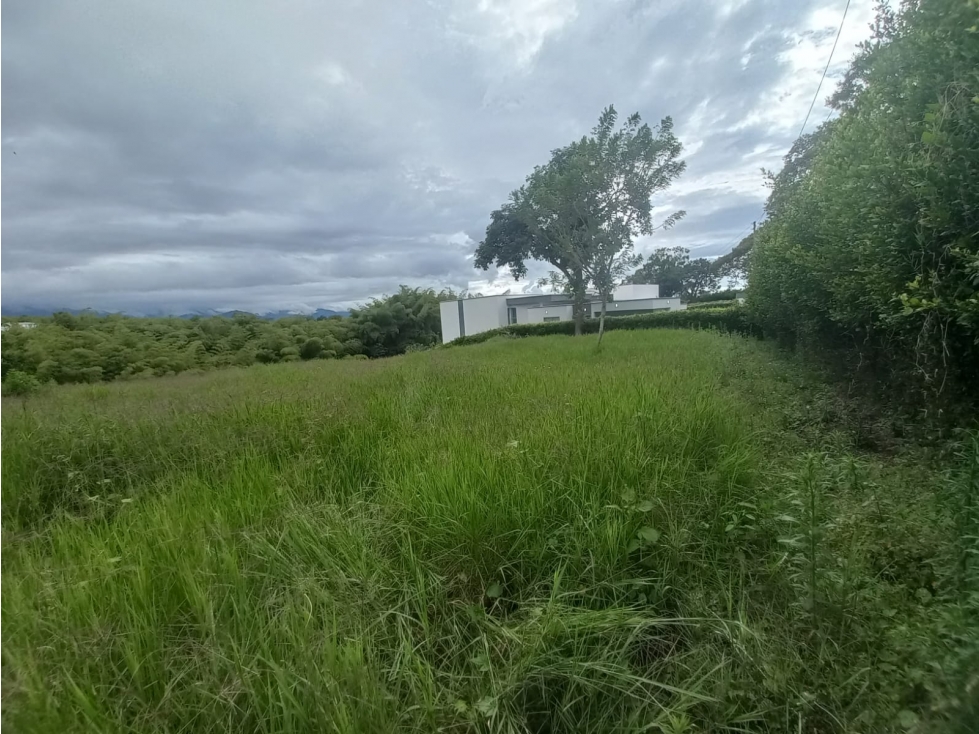 Venta Lote Sur Armenia Quindio - Colombia COD: 6062335 — foto 4