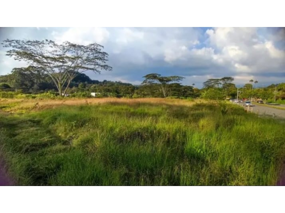 Venta Lote Norte Armenia Quindio - Colombia COD: 7532871 — foto 6