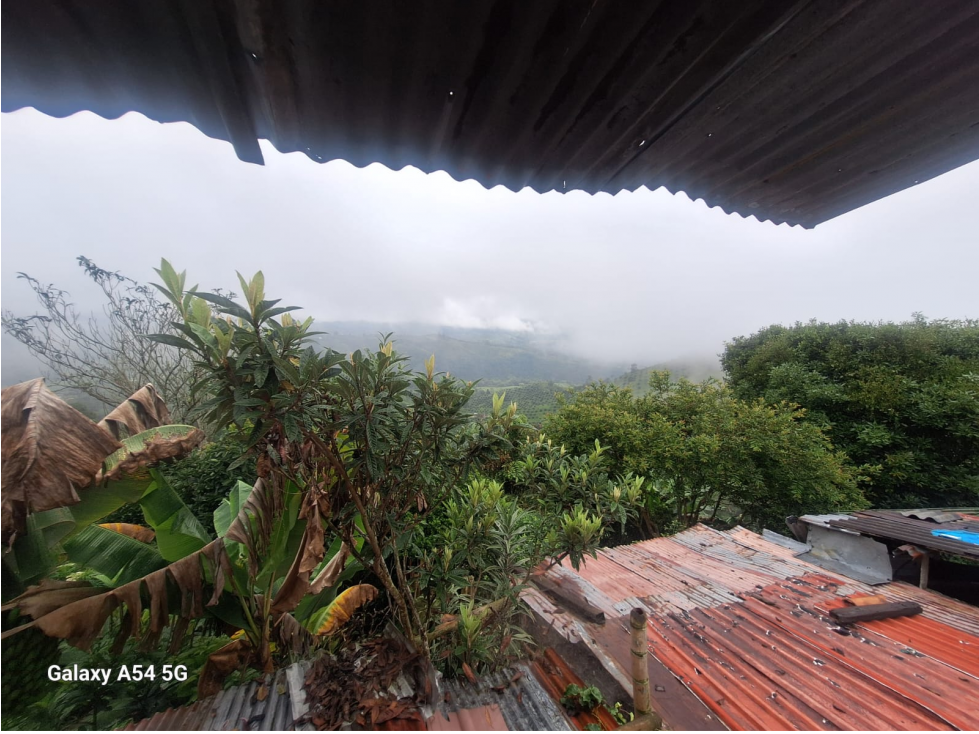 Venta Casa Campestre Salento. Quindío - Colombia COD: 9054527 - 5